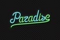 Vector realistic isolated neon sign of Paradise typography logo for template decoration on the transparent background. Concept of Royalty Free Stock Photo