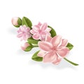 Vector realistic pink flower, cherry, lotos branch