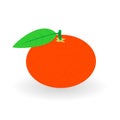 Vector realistic mandarin icon shadow.