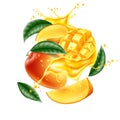 Vector realistic mango leaf slice juice splash