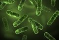 Vector realistic microscopic green bacteria cells with blurred background - medical illustration Royalty Free Stock Photo