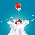 Vector realistic milk splashes with blueberries and red strawberries