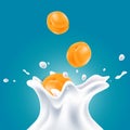 Vector realistic milk splashes with orange apricots Royalty Free Stock Photo