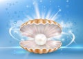 Beautiful marine pearl shell, vector poster banner template