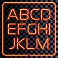 Vector realistic neon letters set