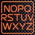 Vector realistic neon letters set