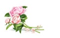 Vector realistic pink rose flower leaves bouquet Royalty Free Stock Photo