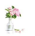 Vector realistic pink rose flower leaves bouquet Royalty Free Stock Photo