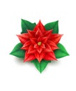 Vector realistic poinsettia flower red star xmas Royalty Free Stock Photo