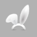 Vector realistic rabbit ears