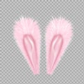 Vector realistic rabbit, bunny easter ears