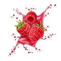 Vector realistic raspberry splash flow with berry