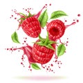 Vector realistic raspberry splash flow with leaves