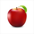 Vector Realistic Red Apple. Detailed 3d Illustration Isolated On