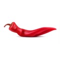 Vector realistic red hot chili pepper on white background. Royalty Free Stock Photo
