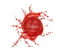 Vector realistic red tomato juice splash paint Royalty Free Stock Photo