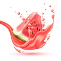 Vector realistic red watermelon juice splash