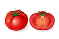 Vector realistic round tomato vegetable