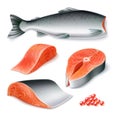 Vector realistic salmon fish head cut restaurant
