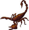 Vector realistic scorpion cartoon illustration in white background