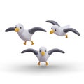 Vector realistic seagull in flight. Ocean bird with spread wings