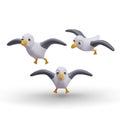 Vector realistic seagull in flight. Ocean bird with spread wings Royalty Free Stock Photo