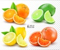 Vector realistic set of citrus. Lemon, orange, lime, grapefruit. Whole, halves and slices. Fresh sour citrus fruits isolated on Royalty Free Stock Photo