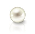 Vector realistic shiny pearl with shadow and reflection isolated