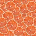 Vector realistic sliced grapefruit seamless pattern Royalty Free Stock Photo