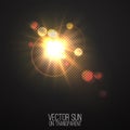 Vector realistic sun on transparent .