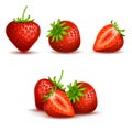 Vector realistic sweet and fresh strawberry isolated on white background Royalty Free Stock Photo