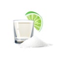 Vector realistic tequila shot lime salt mexico Royalty Free Stock Photo