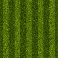 Vector realistic top view illustration of soccer green grass field. Seamless striped line football stadium texture. Royalty Free Stock Photo