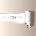 Vector realistic torn paper with shadow. Royalty Free Stock Photo