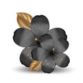 Vector realistic tropical hawaiian black with gold flowers. Metallic hibiscus isolated object on a white background. Summer
