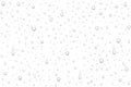 Vector realistic water drops on white background. Royalty Free Stock Photo