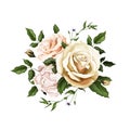 Vector realistic watercolor rose bouquet leaves Royalty Free Stock Photo