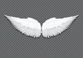 Vector realistic white angel wings on transparent