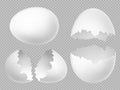 Vector realistic white eggs set with whole and broken eggs on transparent background