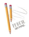 Vector realistic yellow wood pencils rubber eraser