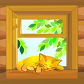 vector Red cat sleeping on the windowsill