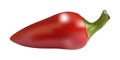 Vector red chili pepper Royalty Free Stock Photo