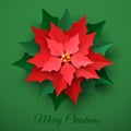 Vector Red Christmas Poinsettia Flower Royalty Free Stock Photo