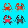 Vector red crab, shellfish