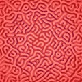 Turing morphogenesis reaction diffusion pattern