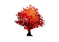 Vector red maple tree icon isolated on white background. Acer Palmatum, Deshojo, Japanese maple plant bonsai Scarlet tree