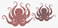 Vector red octopus illustration. Squid octopus animal in ocean.