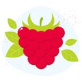 Vector raspberry icon. Flat cartoon berry illustration Royalty Free Stock Photo