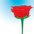 Vector red rose flower background.