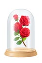 Vector red rose, glass flask Royalty Free Stock Photo